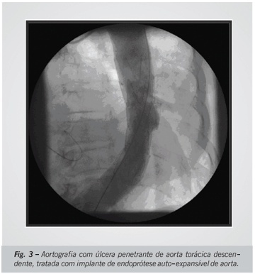 Imagem 3 da galeria
