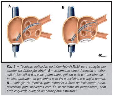 Imagem 2 da galeria