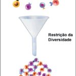 Imagem 1 da galeria