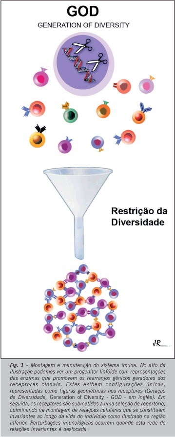 Imagem 1 da galeria
