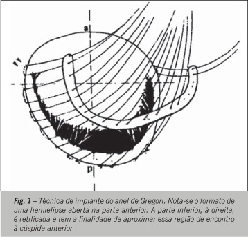 Imagem 1 da galeria