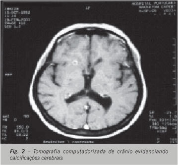 Imagem 2 da galeria