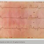 Imagem 2 da galeria