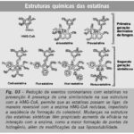 Imagem 3 da galeria
