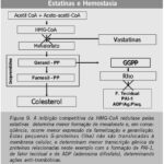 Imagem 9 da galeria