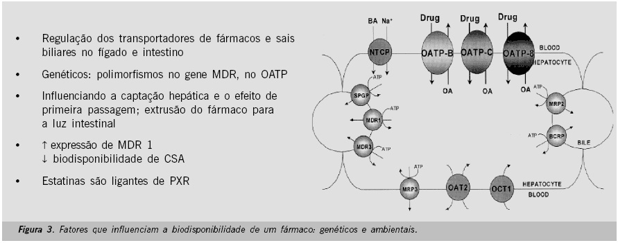 Imagem 8 da galeria