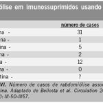 Imagem 9 da galeria