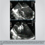 Imagem 5 da galeria