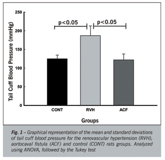 Myocardial remodeling in chronic pressure or volume overload in the rat heart