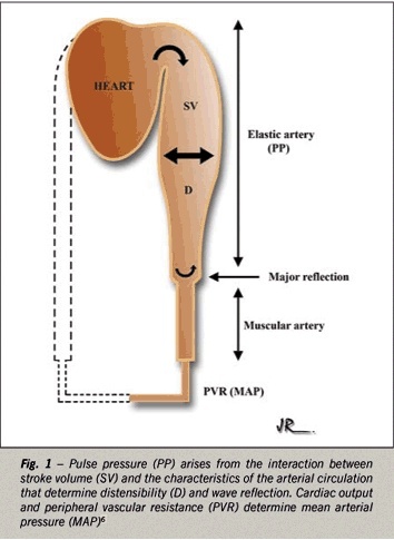 Blood pressure profile along the arterial tree and genetics of hypertension