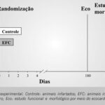 Imagem 1 da galeria