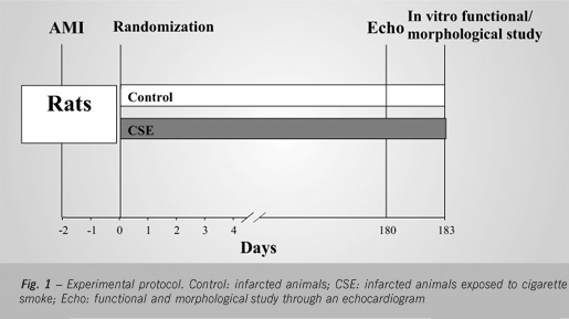 Cigarette smoke exposure intensifies ventricular remodeling process following myocardial infarction