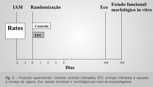 A exposição à fumaça de cigarro intensifica a remodelação ventricular após o infarto agudo do miocárdio