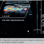 Imagem 2 da galeria