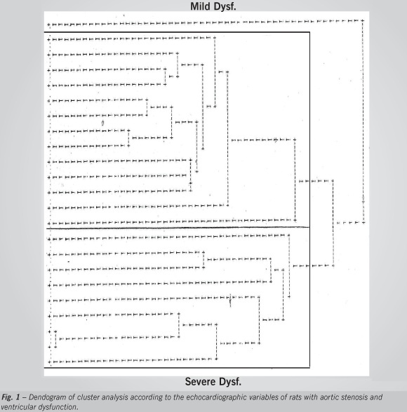 Echocardiographic criteria for the definition of ventricular dysfunction severity in aortic banded rats