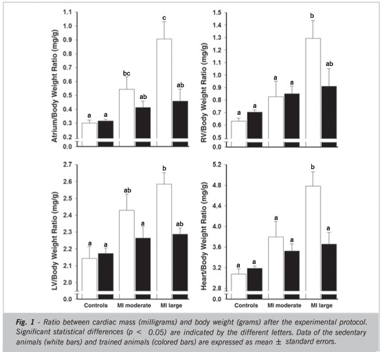 Swim training attenuates myocardial remodeling and the pulmonary congestion in wistar rats with secondary heart failure to myocardial infarction