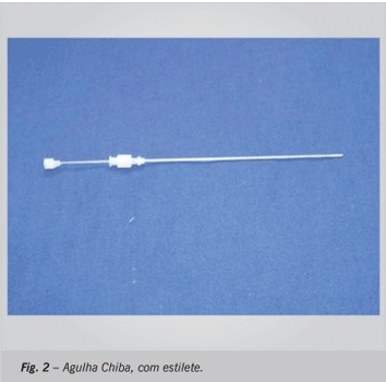 Imagem 2 da galeria