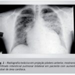 Imagem 1 da galeria