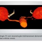 Imagem 2 da galeria