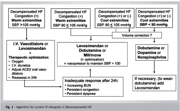 Current insights into the modern treatment of decompensated heart failure