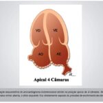 Imagem 2 da galeria