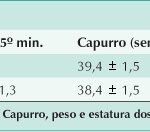 Imagem 9 da galeria