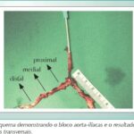 Imagem 1 da galeria