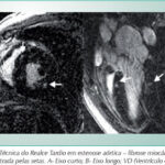 Imagem 3 da galeria