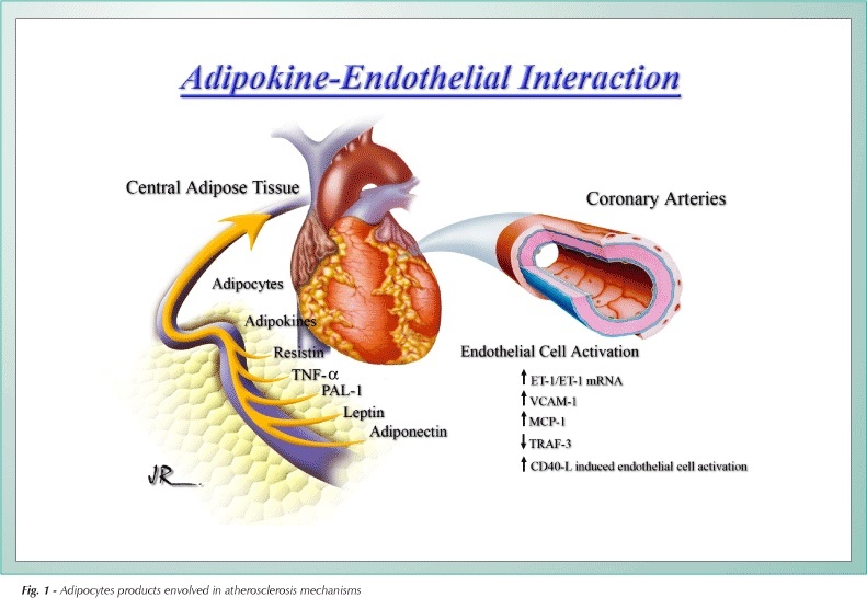 Autonomic dysregulation and the metabolic syndrome: pathologic partners in an emerging global pandemic