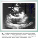 Imagem 1 da galeria