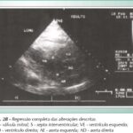 Imagem 6 da galeria