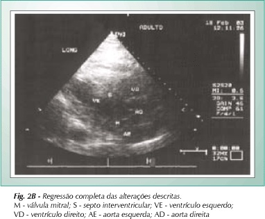 Imagem 6 da galeria