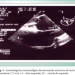 Imagem 1 da galeria