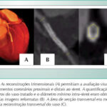 Imagem 1 da galeria