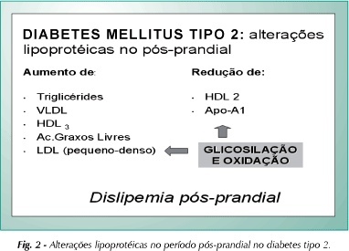 Imagem 2 da galeria