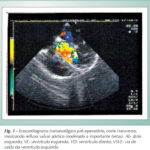Imagem 1 da galeria