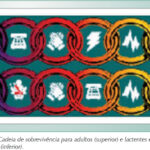 Imagem 3 da galeria