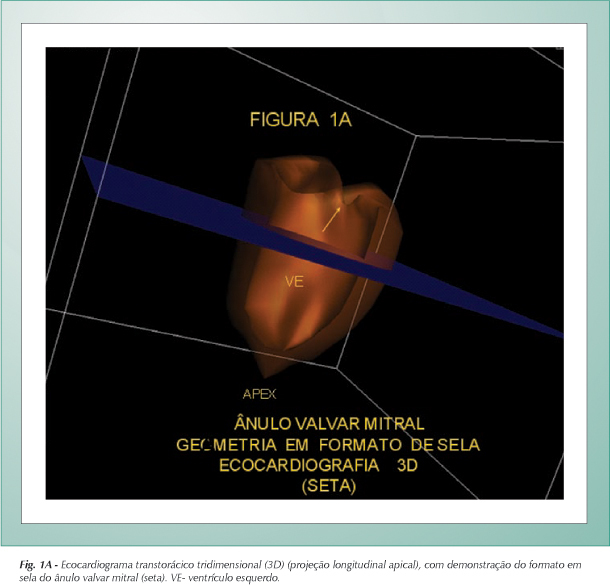 Imagem 1 da galeria