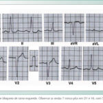 Imagem 1 da galeria