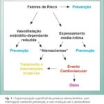Imagem 1 da galeria
