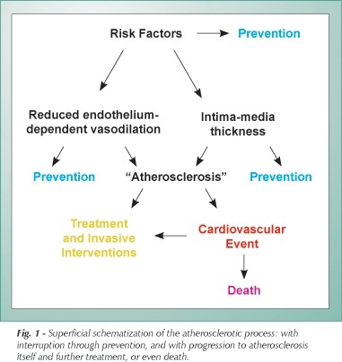 The role of aerobic exercise on endothelial function and on cardiovascular risk factors