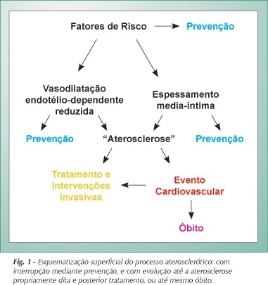 Imagem 1 da galeria