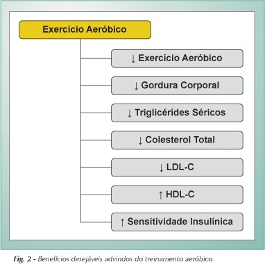 Imagem 2 da galeria