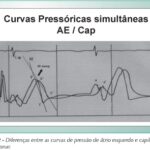 Imagem 3 da galeria