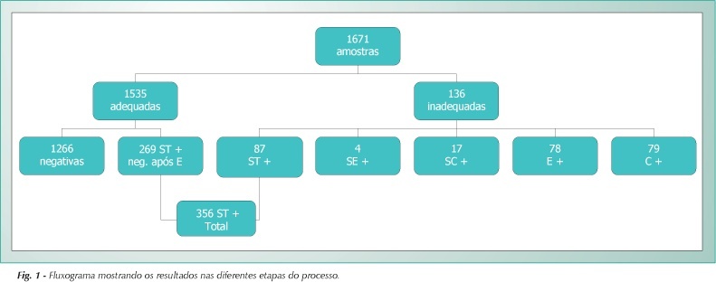 Controle microbiológico em valvas cardíacas humanas