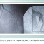 Imagem 3 da galeria