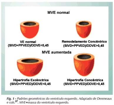 Imagem 1 da galeria