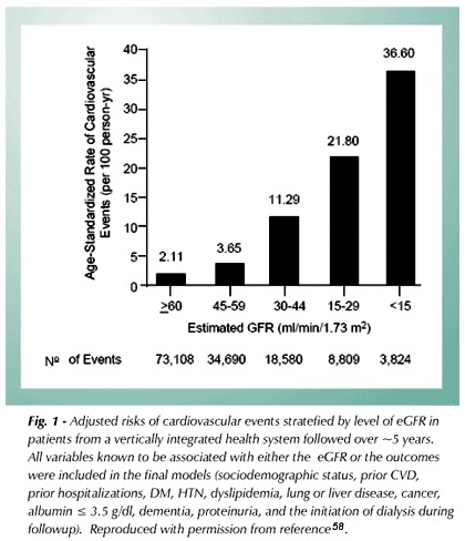 Cardiorenal intersection: crossroads to the future