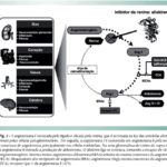 Imagem 3 da galeria