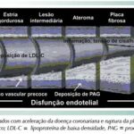 Imagem 5 da galeria